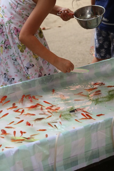 金魚すくい