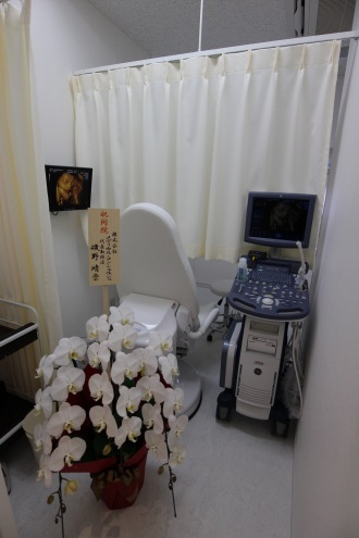 妊婦健診の「4D超音波検査」