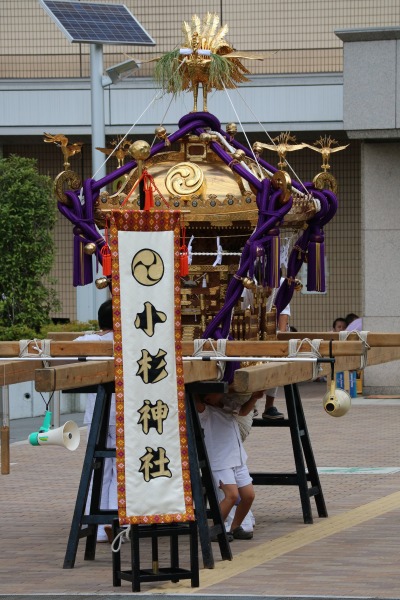 小杉神社の大神輿
