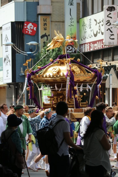 小杉神社の大神輿