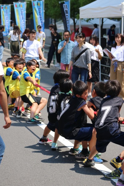 大綱引き