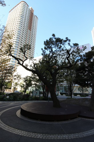 パークシティ武蔵小杉ミッドスカイタワーの公開空地と、ザ グランドウイングタワー