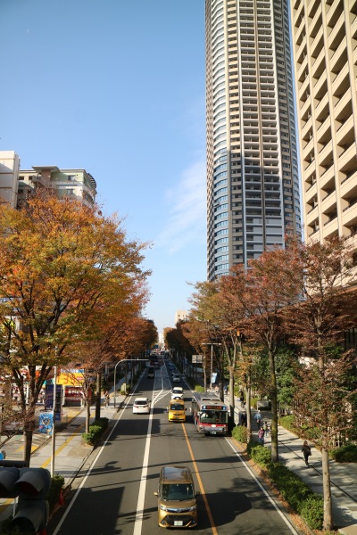 ペデストリアンデッキから見た南武沿線道路の紅葉(小杉御殿町交差点方面)