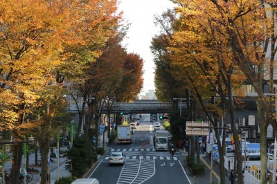 同じく、JR武蔵小杉駅方面