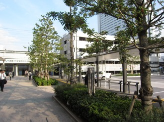 横須賀線武蔵小杉駅ロータリーの街路樹