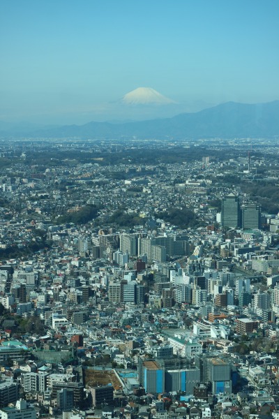 横浜の市街地と富士山
