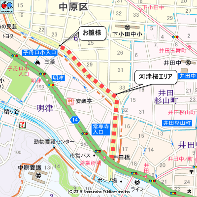 江川せせらぎ遊歩道の河津桜ゾーンマップ