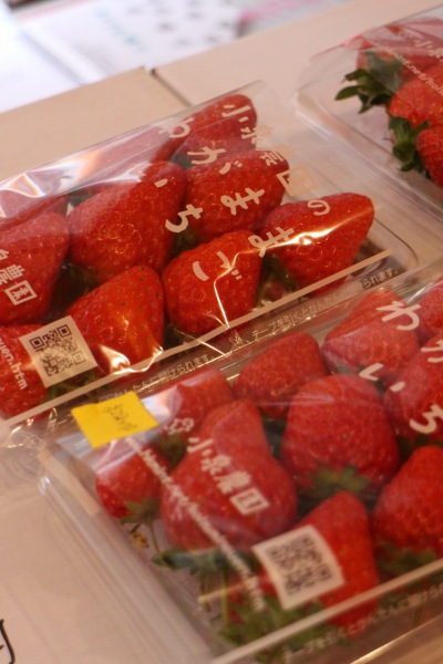 小泉農園の「わがままいちご」(出荷版)