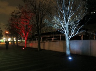 公開空地の街路樹ライトアップ