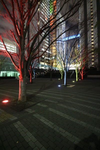 公開空地の街路樹ライトアップ