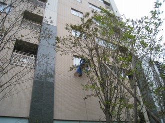 レジデンス・ザ・武蔵小杉の窓掃除（西側）