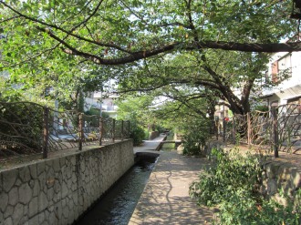 渋川の遊歩道