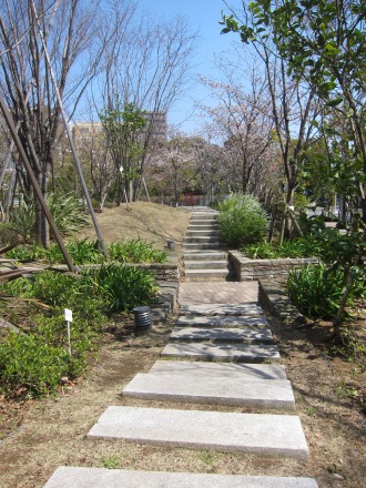 THE　KOSUGI　TOWER南側の庭園