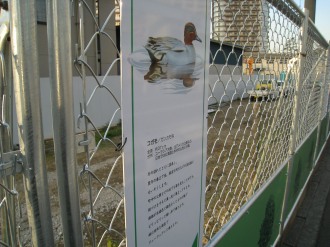 綱島街道の土壌汚染対策工事中に掲示されていたプレート
