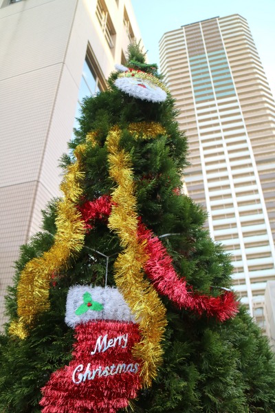 中原区役所のクリスマスツリー