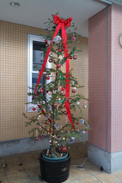 すみれ保育園のクリスマスツリー
