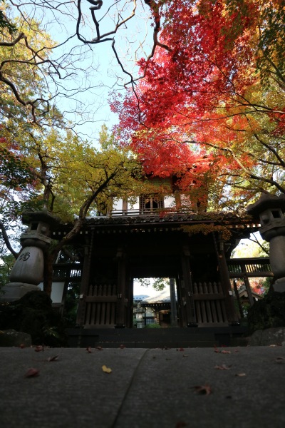 全龍寺の門