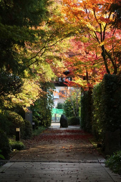 帰り道の参道